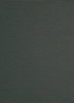 Flächenvorhang schwarz halbtransparent 60x245 5840-31