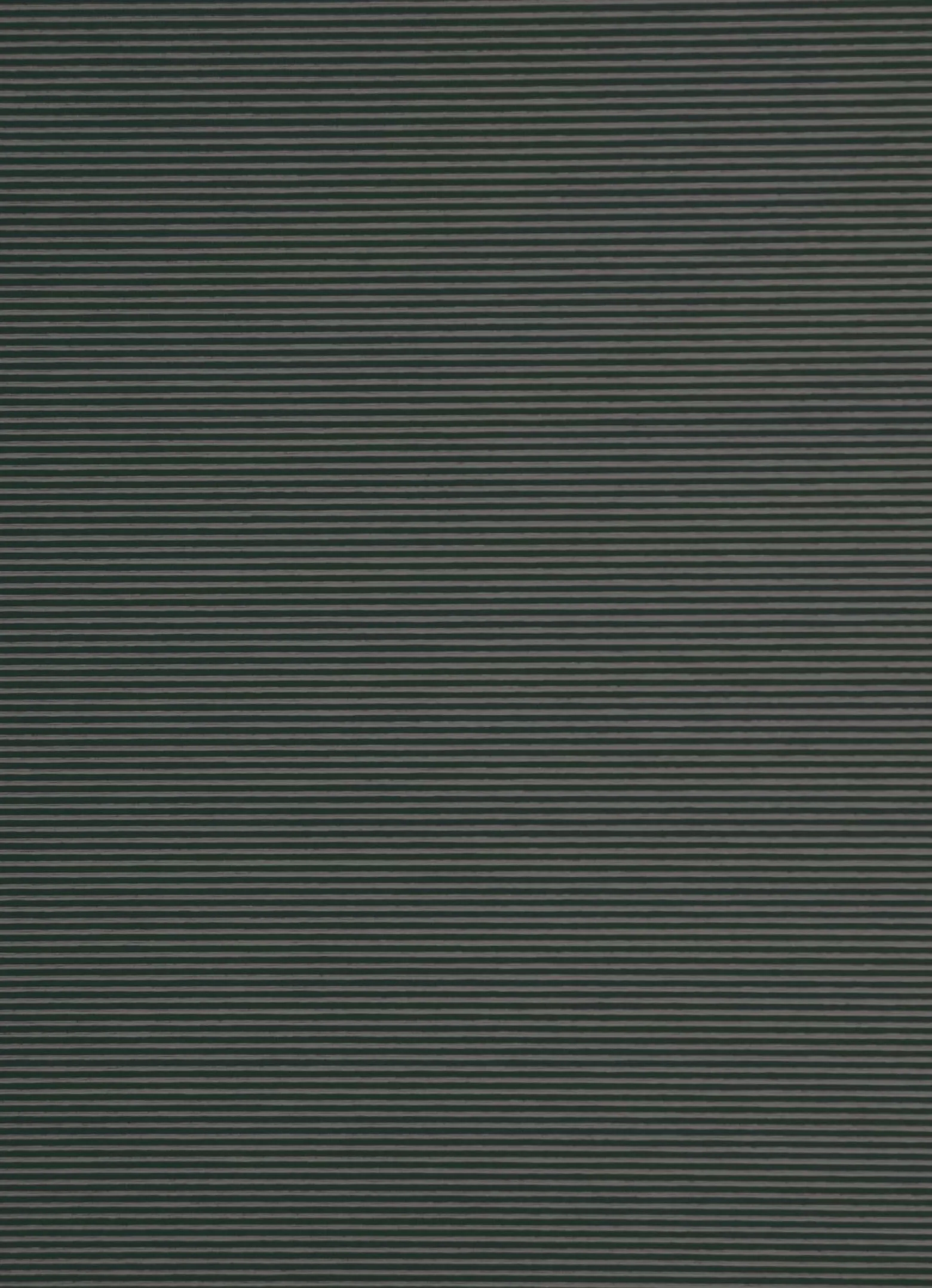 Flächenvorhang schwarz halbtransparent 60x245 5840-31