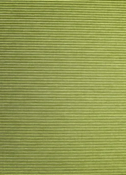Flächenvorhang Uni grün halbtransparent 60x245 5802-24