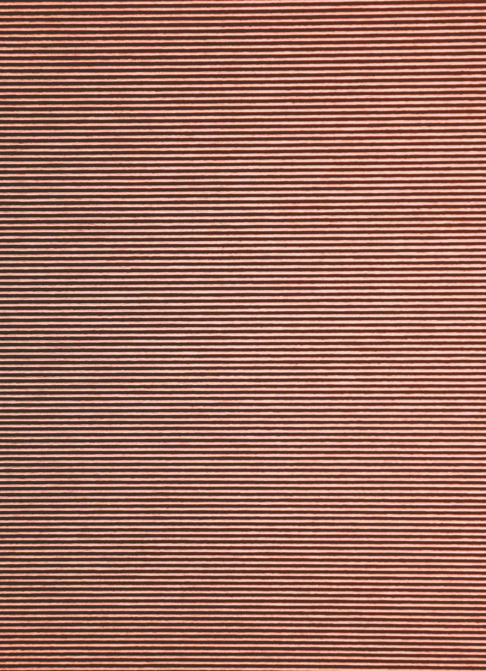Flächenvorhang Uni rot halbtransparent 60x245 5802-48