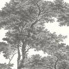 Fotoapete Rasch Passepartout Wald Bäume weiß 606898