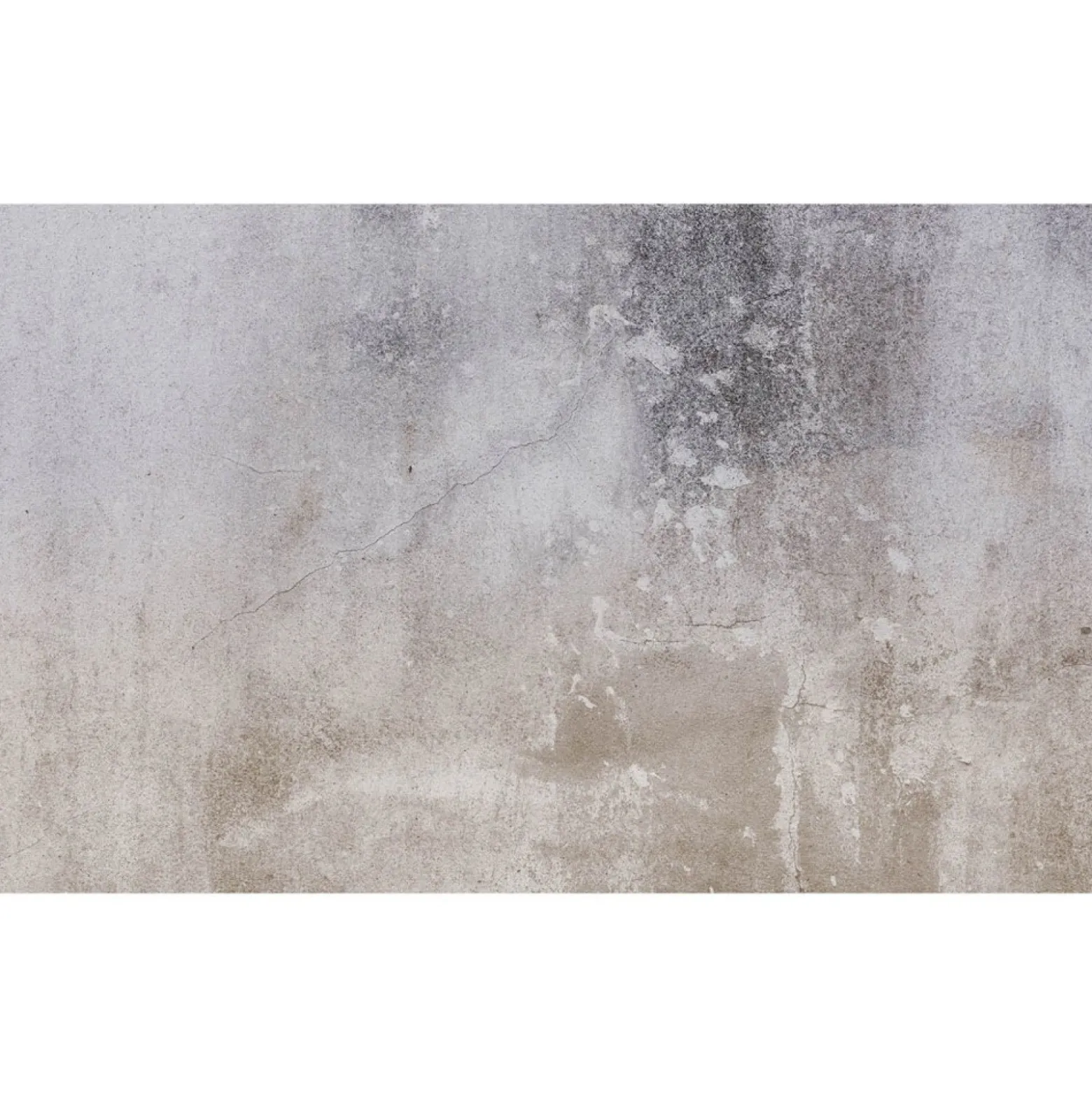 Fototapete Betonoptik Used-Look Shabby Grau 2251-10