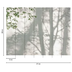 Fototapete Blätter Baum Schatten Weiß Grün 39925-1