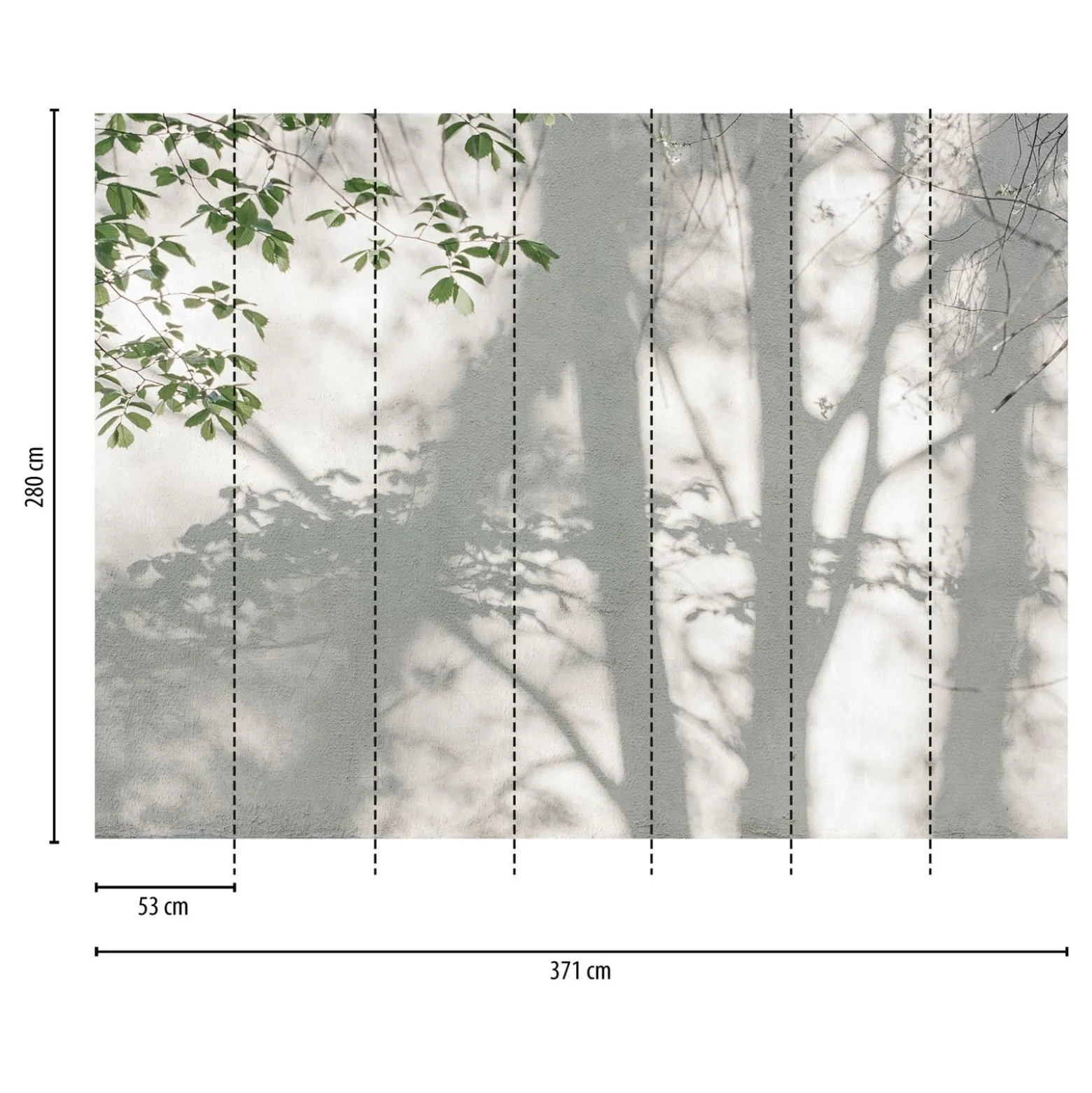 Fototapete Blätter Baum Schatten Weiß Grün 39925-1