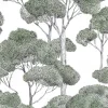 Fototapete Bäume Wald Weiß Grün Schwarz 79216-6