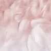 Fototapete Federn Farbverlauf Rosa Weiß Grau ML1001