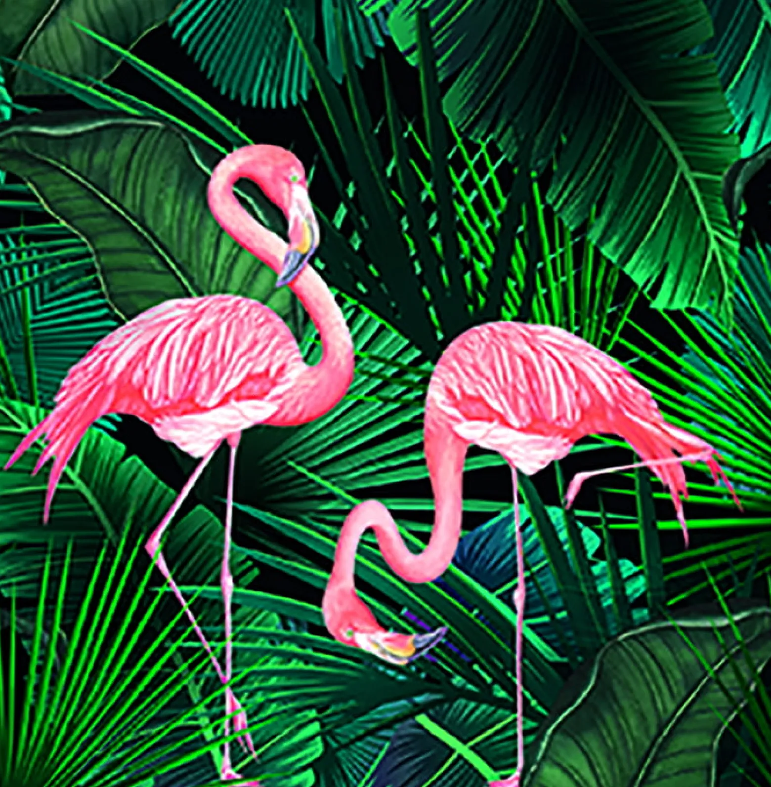 Fototapete Flamingos Blätter Floral grün rosa Marburg