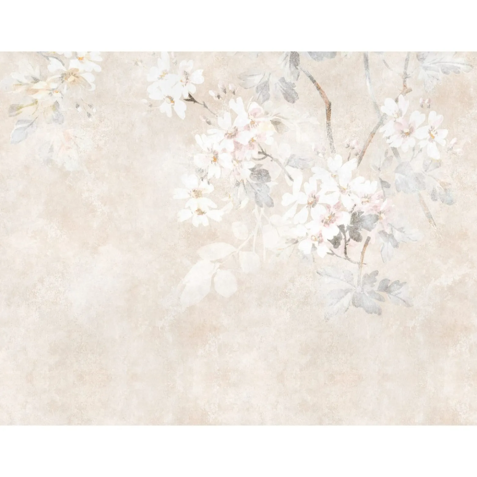 Fototapete Floral Betonoptik Beige Creme 39919-1