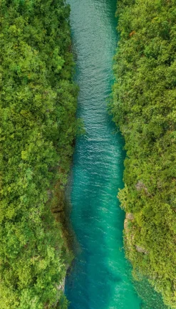 Fototapete Fluss Dschungel Tropen Blau Grün ML1401