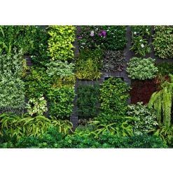 Fototapete Garten Floral Pflanzen Grün Grau 2227-10