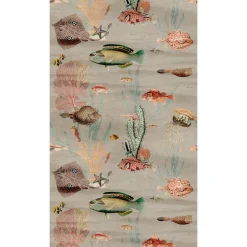 Fototapete Meer Fische Korallen Grau Bunt 39871-1
