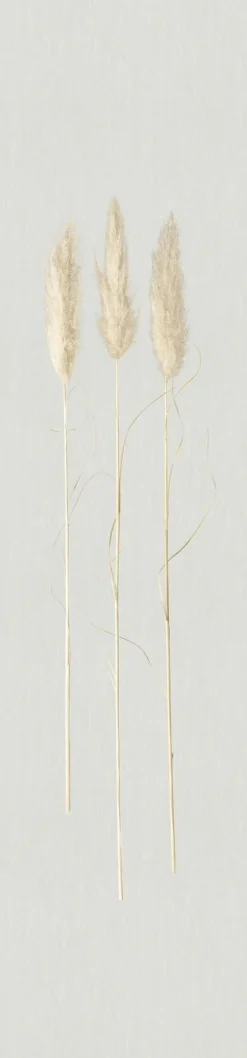 Fototapete Panel Gräser Floral grau beige 33270