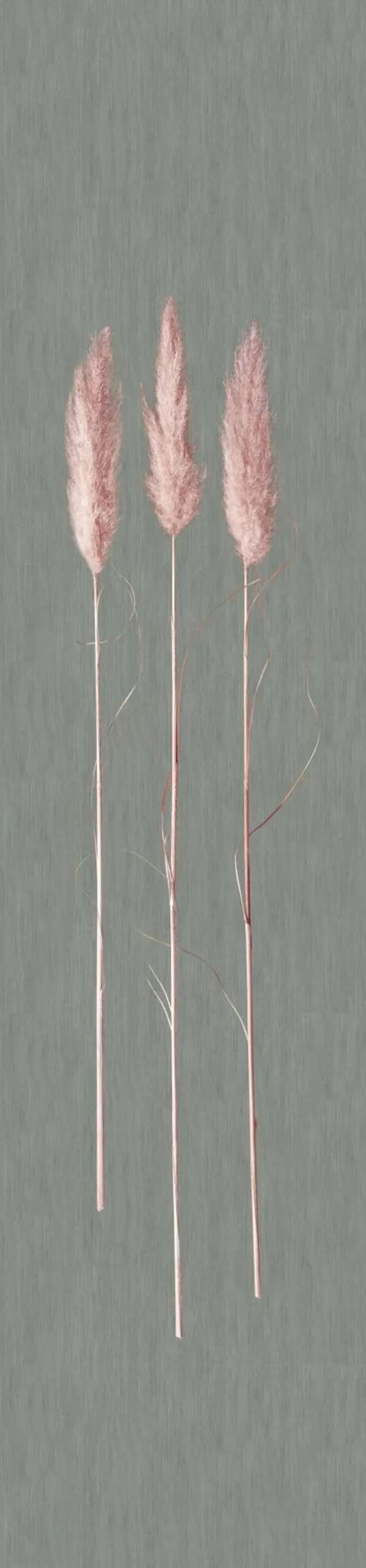 Fototapete Panel Gräser Floral grau rosa 33271