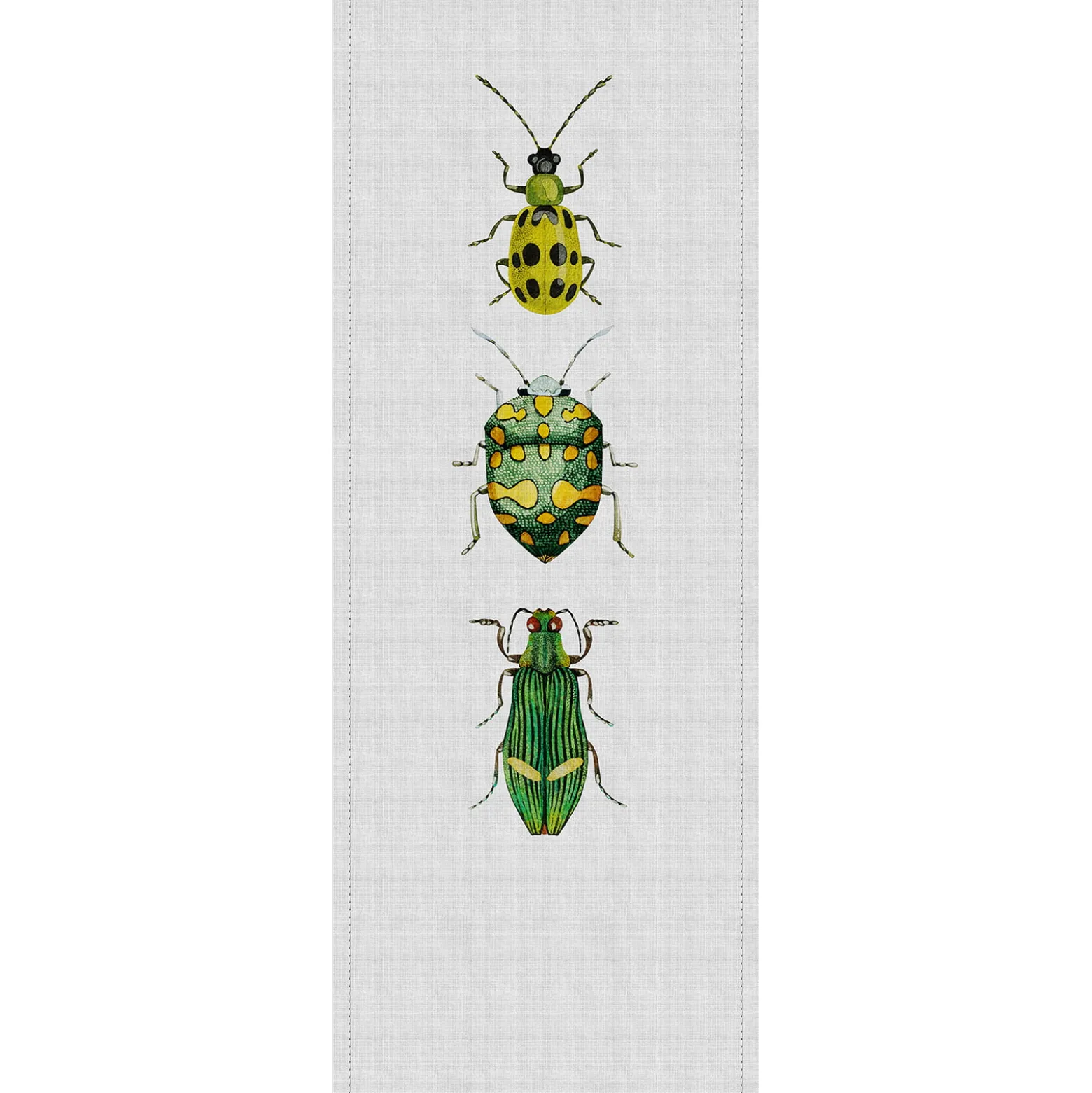 Fototapete Panel Vlies Käfer Textil grau grün Premium