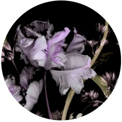 Fototapete rund Guido Maria Kretschmer Floral schwarz lila
