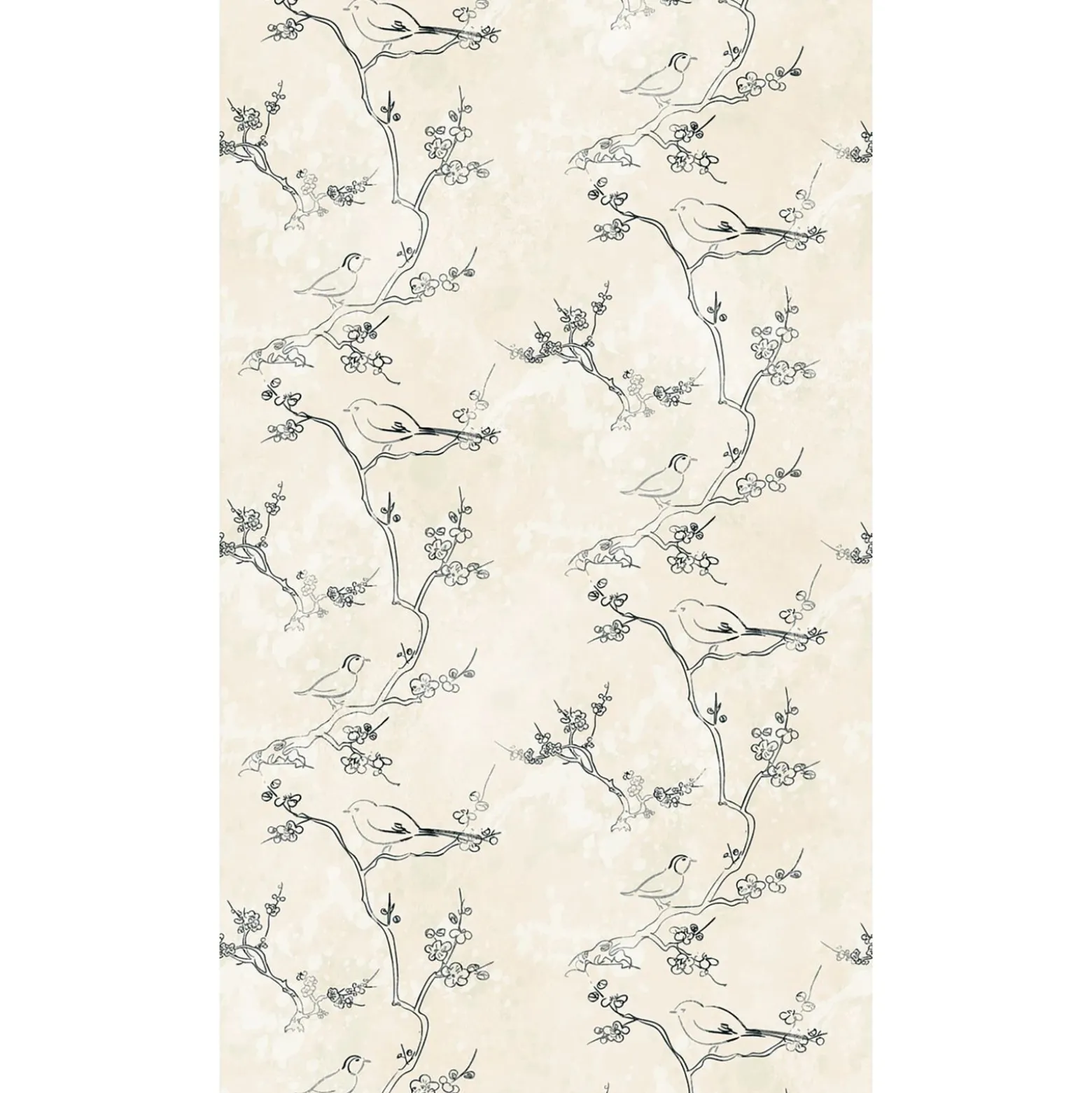 Fototapete Vögel Elegant Floral Beige Schwarz 39884-1