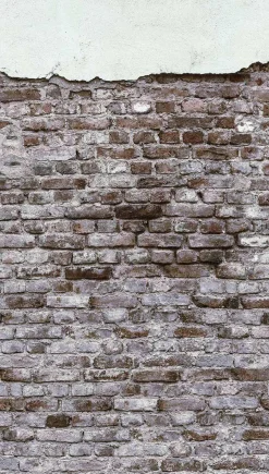 Fototapete Vlies Backstein Mauer Putz grau braun 38333-1