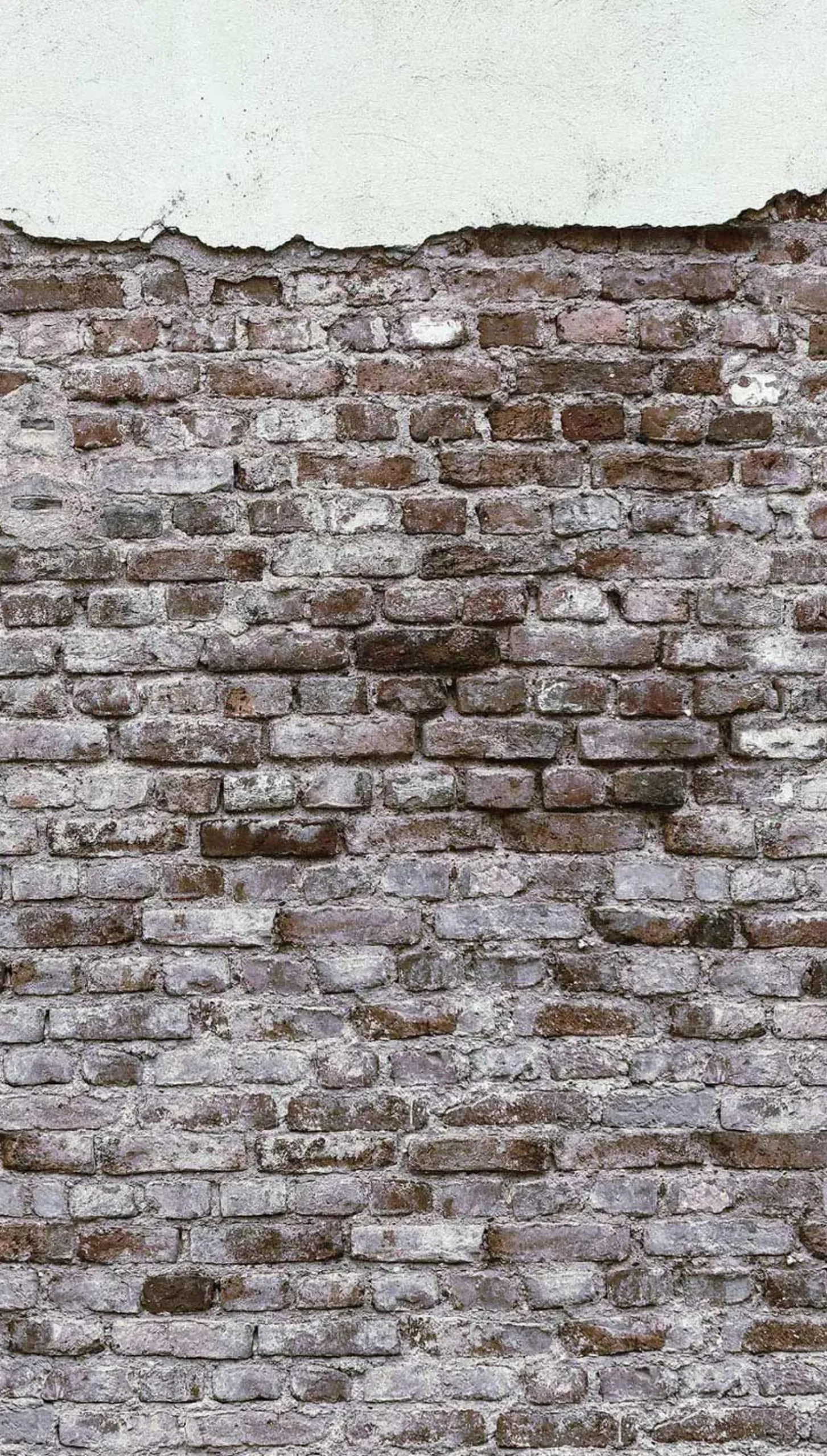 Fototapete Vlies Backstein Mauer Putz grau braun 38333-1