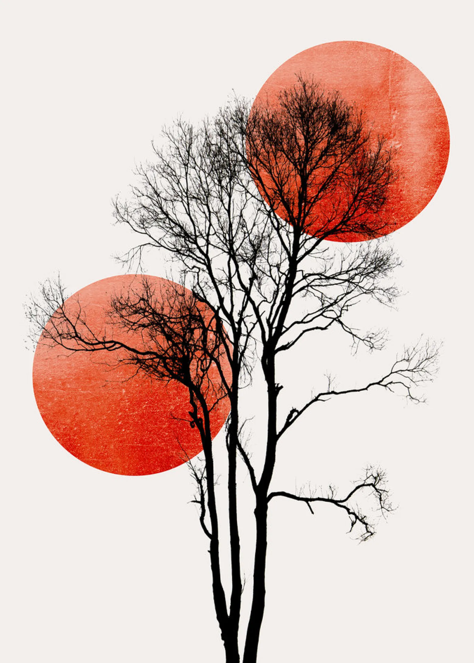 Fototapete Vlies Baum Mond Natur rot schwarz