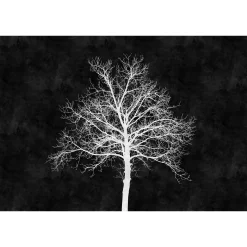 Fototapete Vlies Baum Tafel schwarz weiß Premium