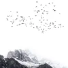 Fototapete Vlies Berge Vögel Natur schwarz weiß