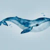 Fototapete Vlies Blauwal Unterwasser blau 38300-1