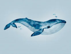 Fototapete Vlies Blauwal Unterwasser blau 38300-1