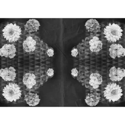 Fototapete Vlies Blüten Floral Dreiecke schwarz