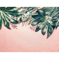 Fototapete Vlies Blätter Beton grün rosa Designwalls