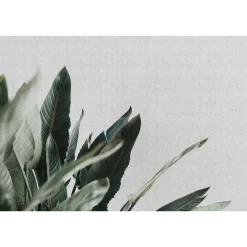 Fototapete Vlies Blätter Floral grün grau Premium
