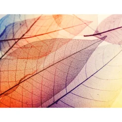 Fototapete Vlies Blätter Licht Herbst orange gelb