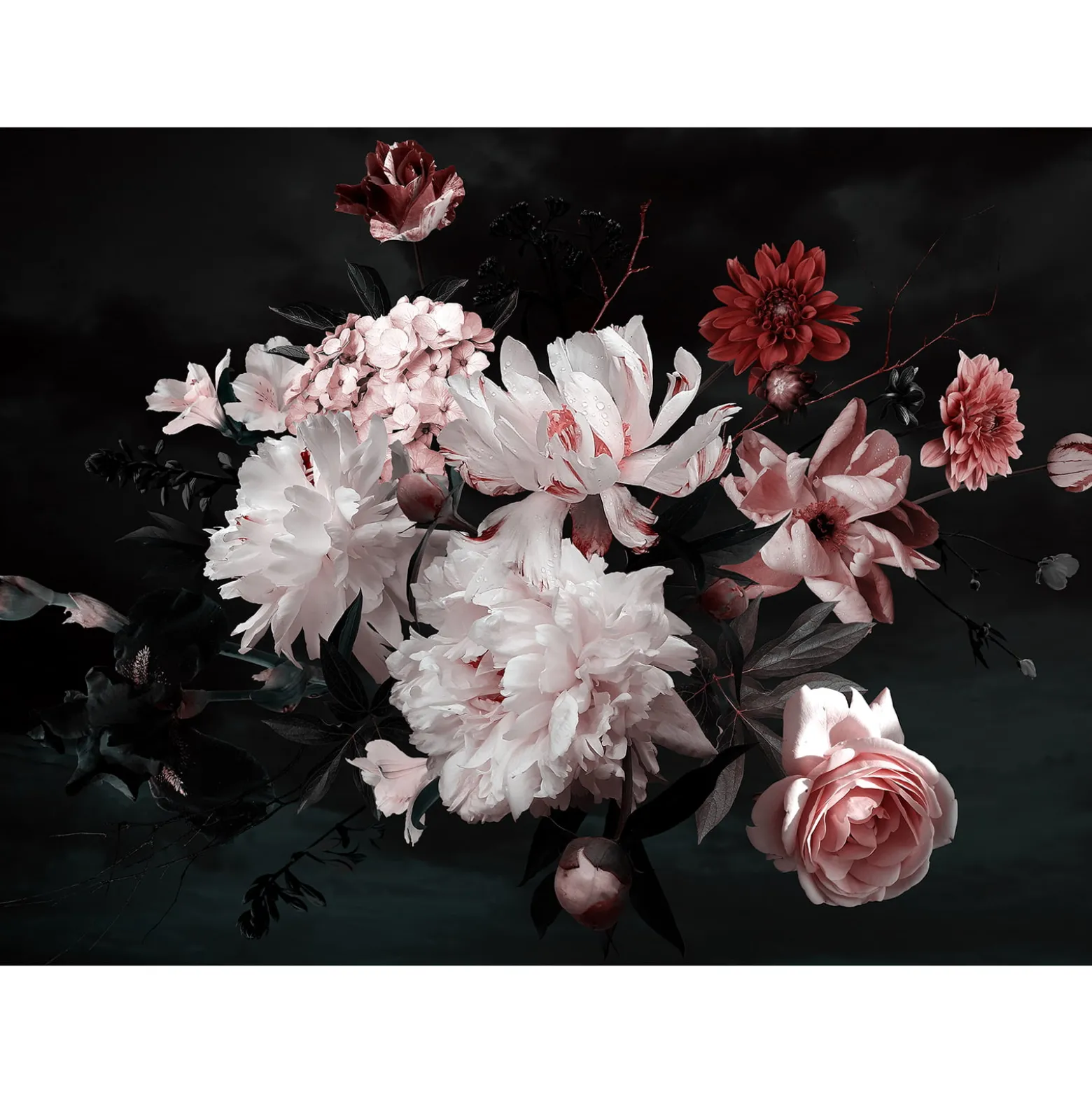 Fototapete Vlies Blumen Blüten Floral weiß rot schwarz