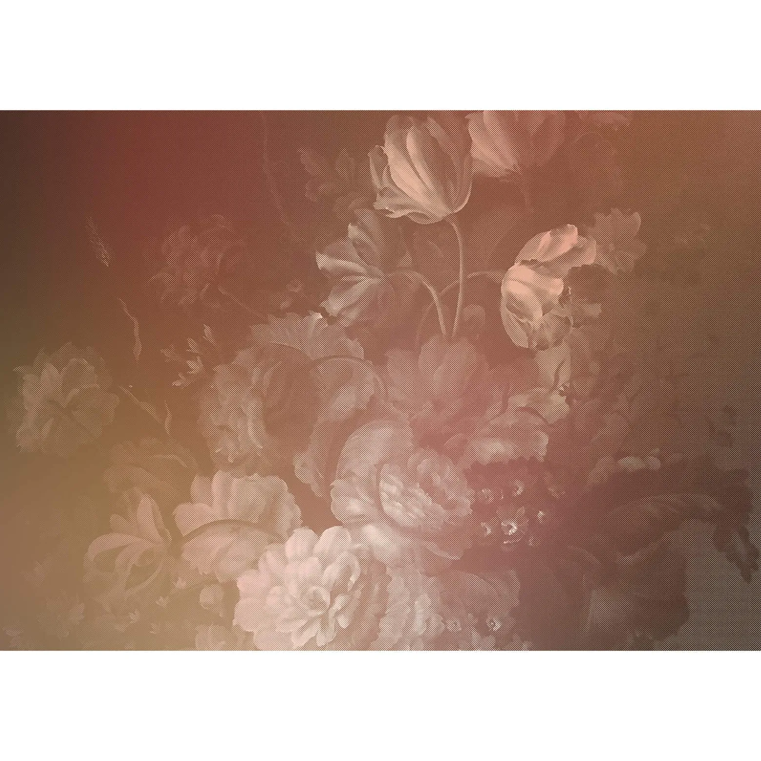 Fototapete Vlies Blumen Floral Kariert rosa rot Premium