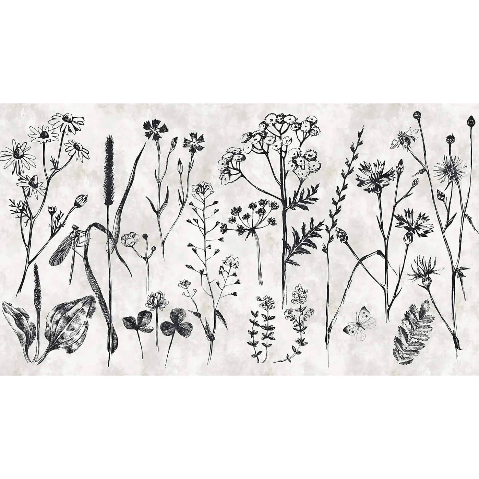 Fototapete Vlies Blumen Kräuter grau schwarz Premium