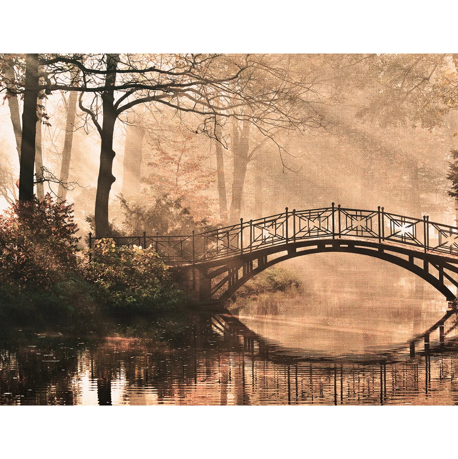 Fototapete Vlies Brücke Wald Fluss braun grün schwarz