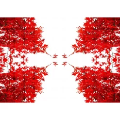 Fototapete Vlies Bätter Baum Grafik rot weiß