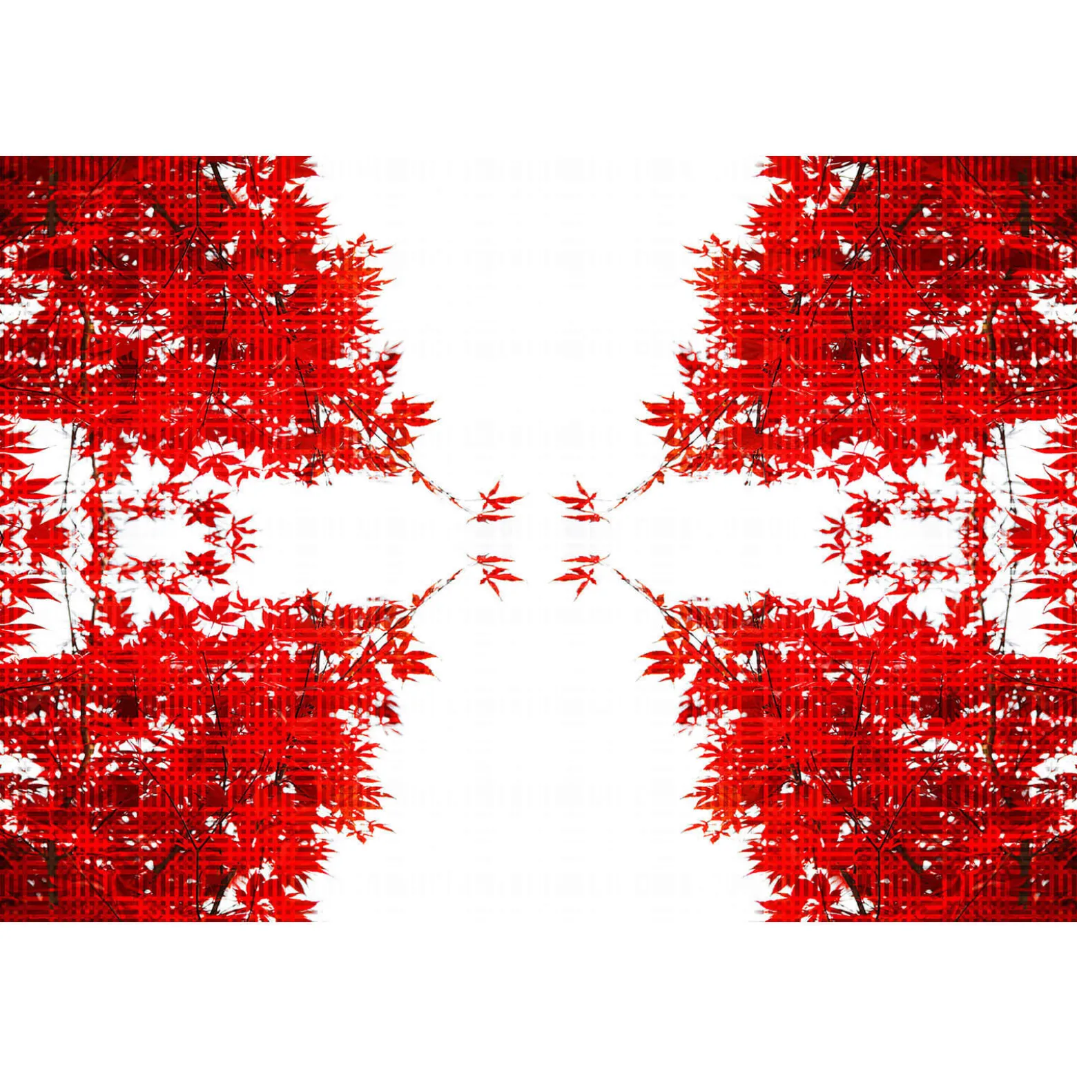 Fototapete Vlies Bätter Baum Grafik rot weiß