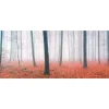 Fototapete Vlies Bäume Nebel Laub braun rot