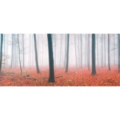 Fototapete Vlies Bäume Nebel Laub braun rot
