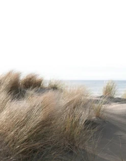 Fototapete Vlies Düne Gräser Meer braun grün blau 47219