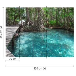 Fototapete Vlies Dschungel Steg Wasser blau braun grün