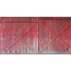 Fototapete Vlies Eisentür Metalltor rot grau
