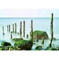 Fototapete Vlies Felsen Wasser Nebel blau grün