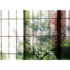 Fototapete Vlies Fenster Kirschbäume rosa rot Premium