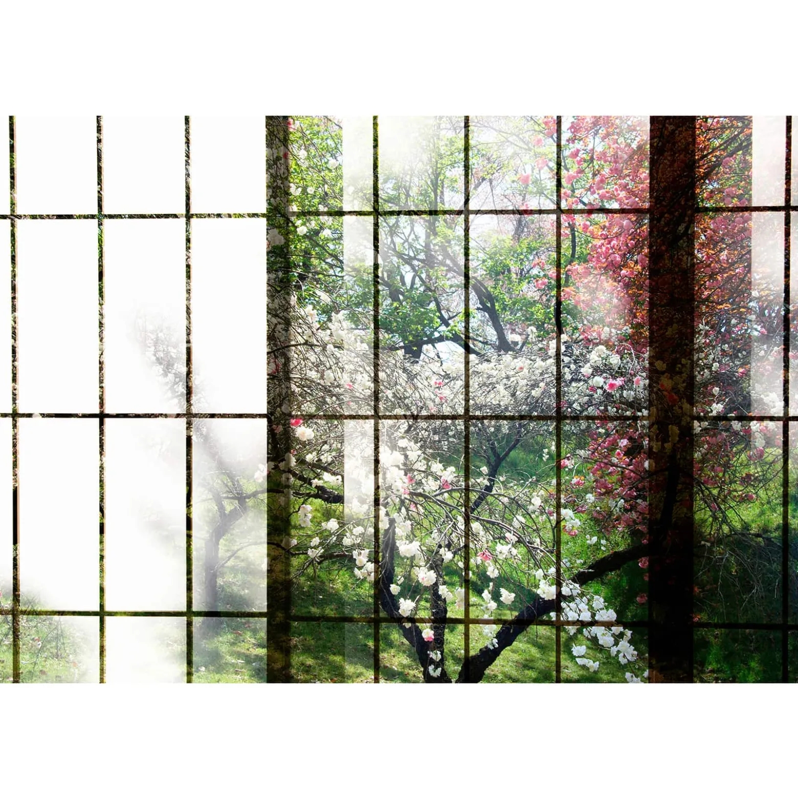 Fototapete Vlies Fenster Kirschbäume rosa rot Premium