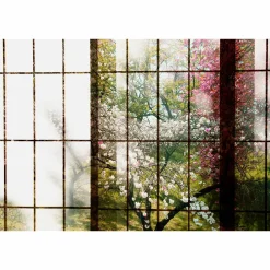 Fototapete Vlies Fenster Kirschbäume grün rosa Premium