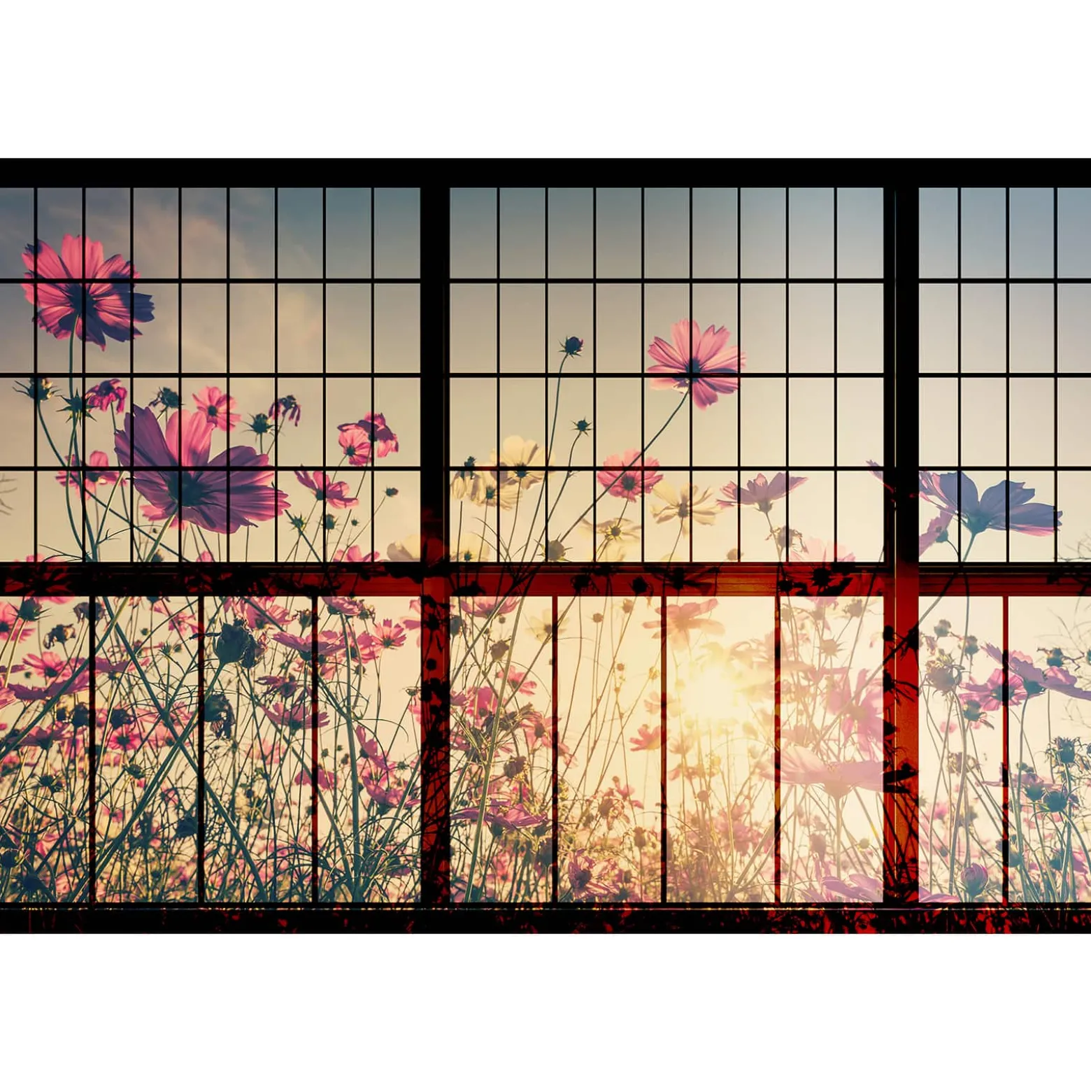 Fototapete Vlies Fenster Wiesenblumen rot grün Premium