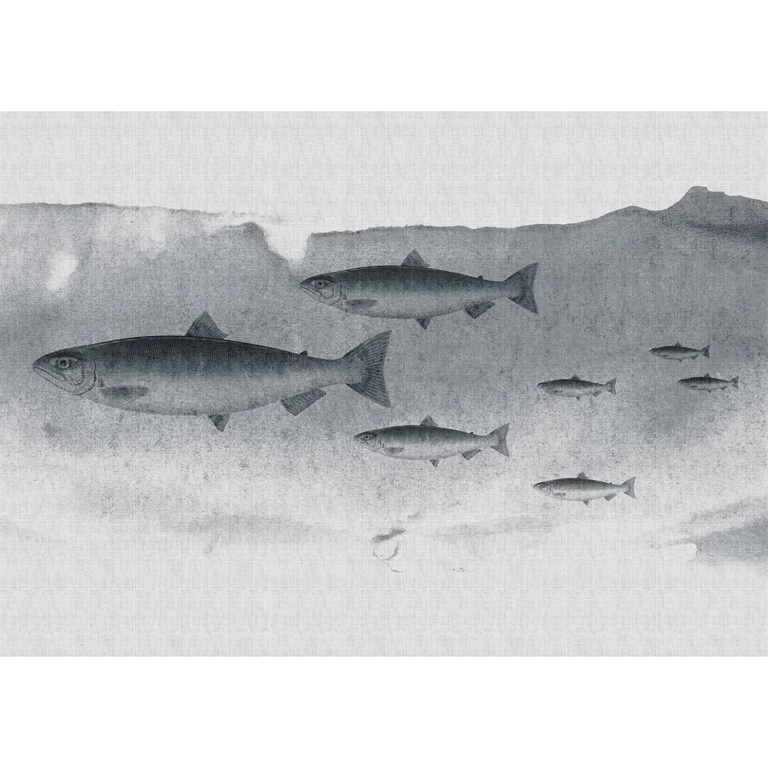 Fototapete Vlies Fische Meer Wasser grau Premium