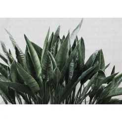Fototapete Vlies Floral Blätter grün grau Premium