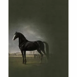 Fototapete Vlies Gemälde Pferd schwarz grau Premium
